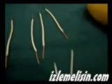 Limondan Elektrık Üretimi