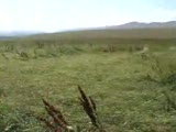 Erzurum Çat Yavi Halkımızın Röportajları (Marmara