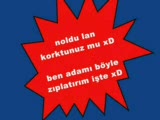 bak sen şu kediye :D