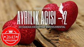 Yaşar Taner - Ayrılık Acısı - 2