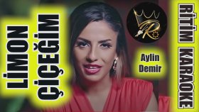 Limon Çiçeğim  - Aylin Demir - Ritim Karaoke (Kürdi Minör 4/4 C Sebare Beste Tayfun Soydemir)