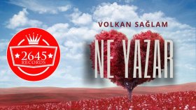 Volkan Sağlam - Ne Yazar