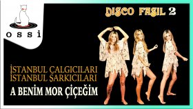 Istanbul Calgıcıları Istanbul Sarkıcıları - A Benim Mor Cicegim (Disco Fasıl 2)