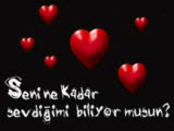 as,gitme,dur