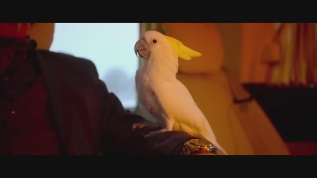 Return of Kesha's Parrot (2024) Fragman