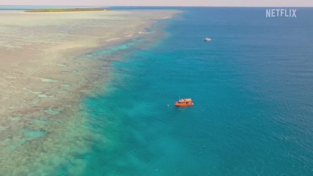 Bir Dünya Köpek Balığı Yakalayan Kazanır (2025) Fragman