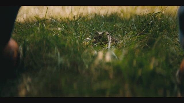 Wayward (2025) Fragman