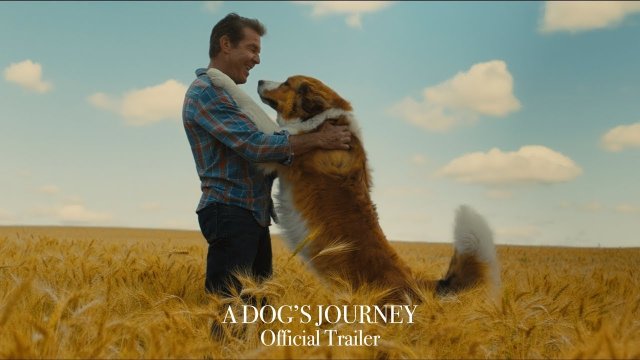 A Dog's Journey (2019) Fragman