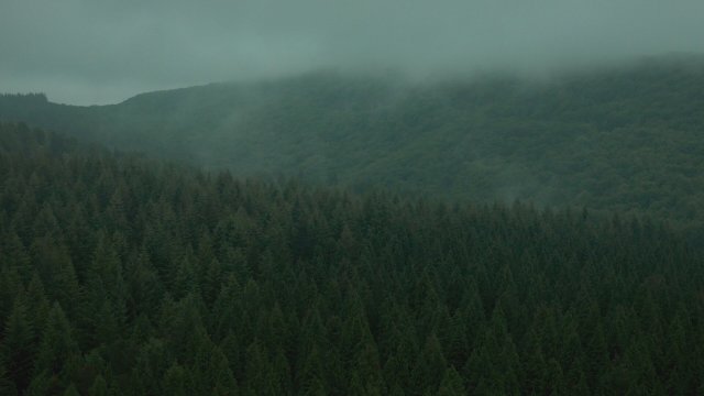 Girl Taken (2026) Fragman