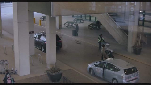 The Mother and the Bear (2026) Fragman