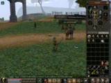 8 Su Perisi Gececi06