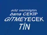 Cekip Gitmeyecektin