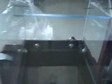 Wittmann Sumo Minor1 Granulator