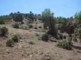 Bozkir Kuşça Köyü Tepe Alanı