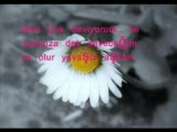 Ölümsüz Aşk
