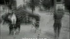 fransa cezayir soykırımı