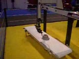 wittmann robot gösterisi