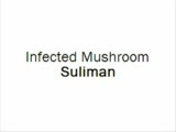 infected mushroom - suliman