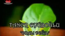taner eyüboğlu oralı degil (orjinal) by.yavuz sayg