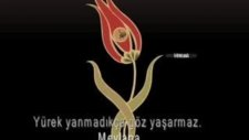 Şems Konyada