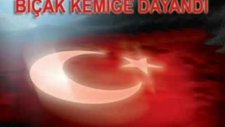 tripkolic sevgilim