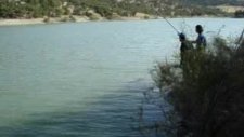 Aynalı Sazan Balık Avı