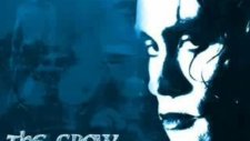 the crow