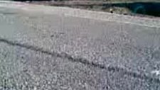 yol ortasında çılgınca bir dans