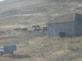 2008 Ağustos Yerliçay