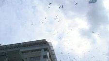 İstanbul semalarında leyleklerin göç dansı