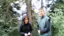 bolu,dağı, gezintisi