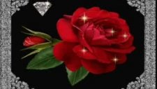Bu Gece Yine Seni Düşündüm