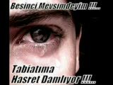 Beşinci Mevsim / Mükemmel Şarki