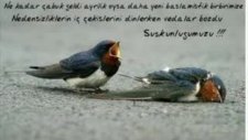 Ama Yoksun!...