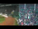 kocaelispor