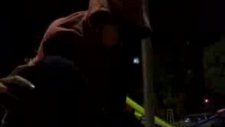 Kurtlapa2