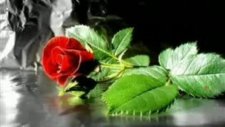 Helin - Hasretimsin