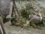 dünyanın en komik filmi