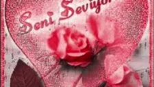 Seni Seviyorum