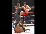 badr hari