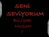 Ayşe Mine - Gözümden Yaş Düşmeden Gel Ayşe Mine - Gözümden Yaş Düşmeden Gel