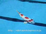 Robot Balık