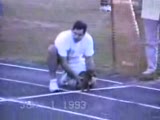 30 Metre Engelsiz Koşu Uyanık Köpek Sporcu