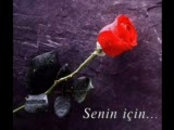 Sen Canimsin