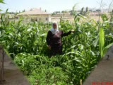 Yozgat Boğazlıyan Yamaçlı Kasabası