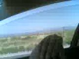 Şaka Gibi