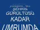 Azer Bulbul Borcum Bıtmedı (Bozo_21_34)