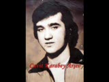 Cavit Karabey Kara Topraklar / Damar Arşiv