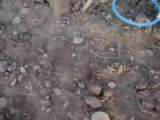 Ekranlı Delta Pulse Mineral Testi