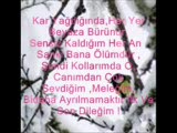 Yanlızım,seni ,severken!